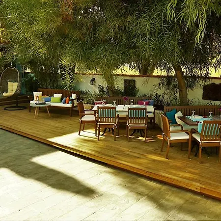Hotel The Lifeco Bodrum Beach