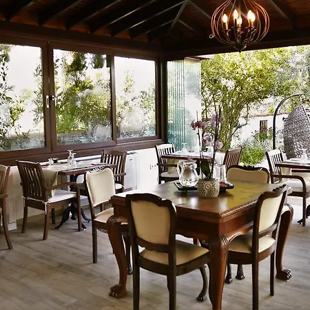 The Lifeco Bodrum Beach Hotel *