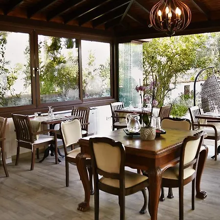 The Lifeco Bodrum Beach Hotel *