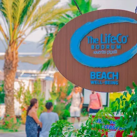 The Lifeco Bodrum Beach Hotel Göltürkbükü