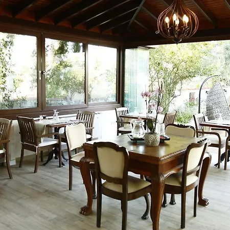 The Lifeco Bodrum Beach Hotel Göltürkbükü