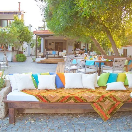 Hotel The Lifeco Bodrum Beach