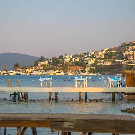 The Lifeco Bodrum Beach Hotel *