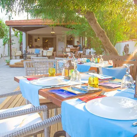The Lifeco Bodrum Beach Hotel *