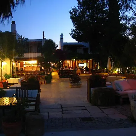 Hotel The Lifeco Bodrum Beach *
