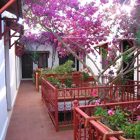 Hotel The Lifeco Bodrum Beach *