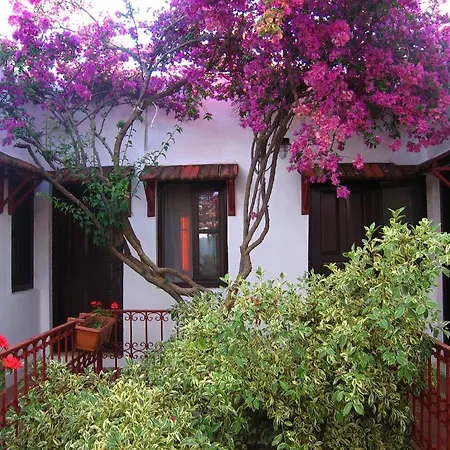The Lifeco Bodrum Beach Göltürkbükü