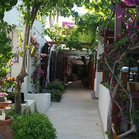 Hotel The Lifeco Bodrum Beach *